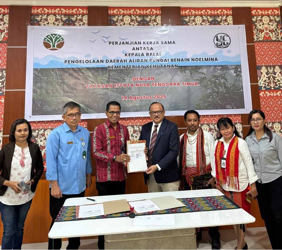 Yayasan Effata Kupang & BPDAS Benain Noelmina Kolaborasi untuk Penghijauan NTT serta Peningkatan Ekonomi Masyarakat: Pinang adalah Emas Hijau Kita